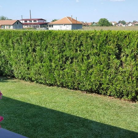 Holiday Home Di More Jagodina Exterior foto
